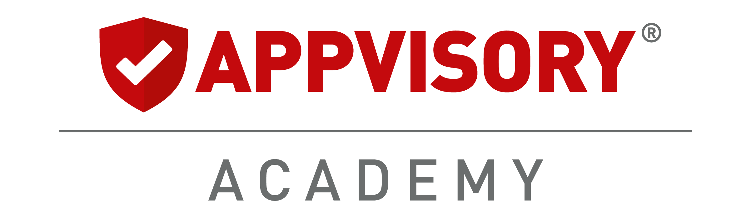 APPVISORY-Academy-big