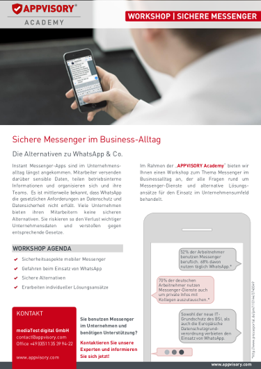 Factsheet_Messenger im Business-Alltag