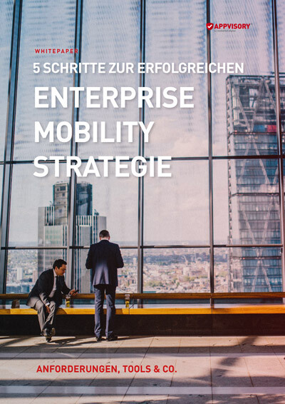 Mobilgeräte erfolgreich managen - Guide für Enterprise Mobility Management
